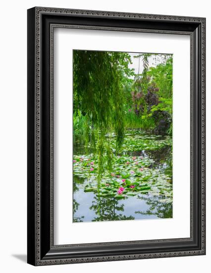 Weeping Willow and Waterlilies, Monet's Garden, Giverny, Normandy, France, Europe-James Strachan-Framed Photographic Print