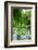 Weeping Willow and Waterlilies, Monet's Garden, Giverny, Normandy, France, Europe-James Strachan-Framed Photographic Print