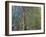 Weeping Willow, C. 1919-Claude Monet-Framed Giclee Print