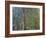 Weeping Willow, C. 1919-Claude Monet-Framed Giclee Print