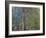 Weeping Willow, C. 1919-Claude Monet-Framed Giclee Print