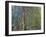 Weeping Willow, C. 1919-Claude Monet-Framed Giclee Print