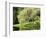 Weeping Willow, Japanese Gardens, Bloedel Reserve, Bainbridge Island, Washington, USA-Trish Drury-Framed Photographic Print