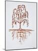 Weeping willow with heart and soul-Richard Lawrence-Mounted Photographic Print