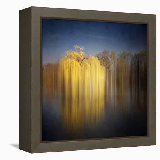 Weeping Willow-Philippe Sainte-Laudy-Framed Premier Image Canvas