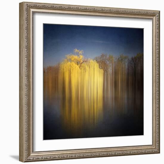 Weeping Willow-Philippe Sainte-Laudy-Framed Photographic Print