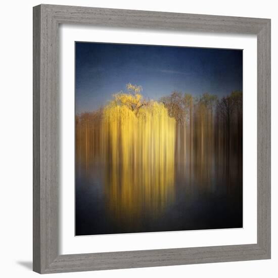 Weeping Willow-Philippe Sainte-Laudy-Framed Photographic Print