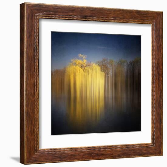 Weeping Willow-Philippe Sainte-Laudy-Framed Premium Photographic Print