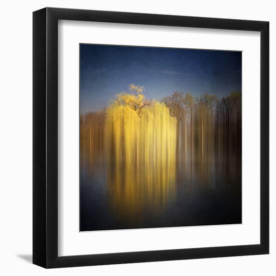 Weeping Willow-Philippe Sainte-Laudy-Framed Premium Photographic Print