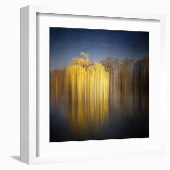 Weeping Willow-Philippe Sainte-Laudy-Framed Premium Photographic Print