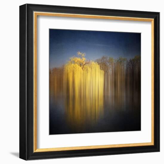 Weeping Willow-Philippe Sainte-Laudy-Framed Premium Photographic Print