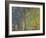 Weeping Willow-Claude Monet-Framed Giclee Print