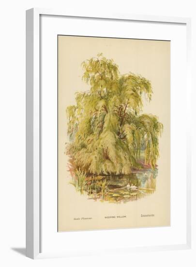 Weeping Willow-William Henry James Boot-Framed Giclee Print