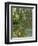 Weeping Willows, the Waterlily Pond at Giverny, C.1918-Claude Monet-Framed Giclee Print