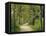 Weg, Birken, Allee, Frv¼hling, Natur, Waldweg, Birkenallee-Thonig-Framed Premier Image Canvas