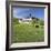 Wehrkirche Church, Urach, Urachtal Valley in Spring, Black Forest, Baden Wurttemberg, Germany-Markus Lange-Framed Photographic Print