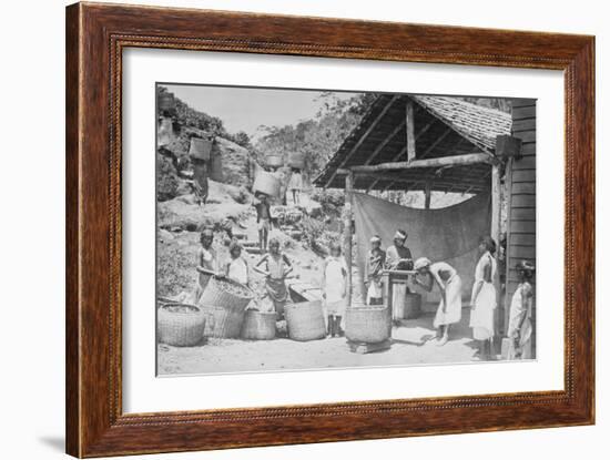 Weighing Ceylon Tea-null-Framed Art Print