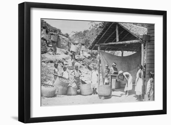 Weighing Ceylon Tea-null-Framed Art Print