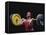 Weightlifter in Action-null-Framed Premier Image Canvas