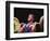 Weightlifter in Action-null-Framed Photographic Print