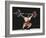 Weightlifter in Action-null-Framed Photographic Print