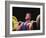 Weightlifter in Action-null-Framed Photographic Print