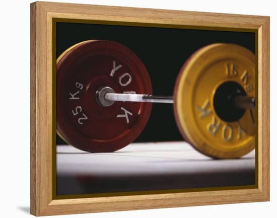 Weightlifting Equipment-Paul Sutton-Framed Premier Image Canvas