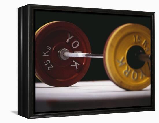 Weightlifting Equipment-Paul Sutton-Framed Premier Image Canvas