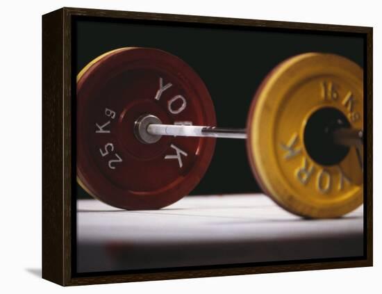 Weightlifting Equipment-Paul Sutton-Framed Premier Image Canvas