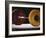 Weightlifting Equipment-Paul Sutton-Framed Photographic Print