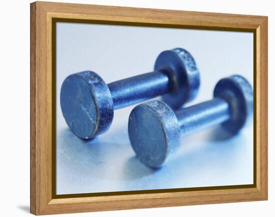 Weights-Chris Trotman-Framed Premier Image Canvas