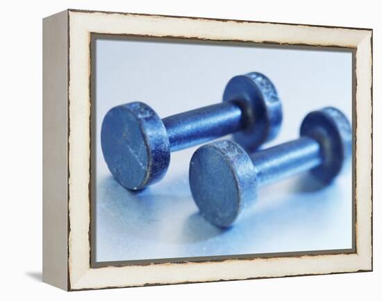 Weights-Chris Trotman-Framed Premier Image Canvas