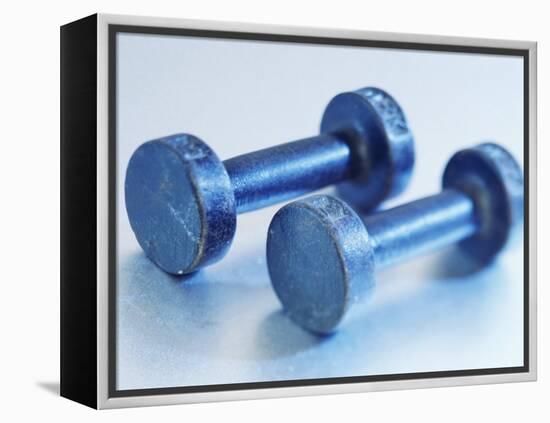 Weights-Chris Trotman-Framed Premier Image Canvas