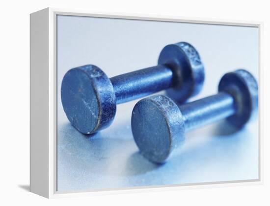 Weights-Chris Trotman-Framed Premier Image Canvas