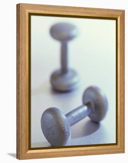 Weights-Chris Trotman-Framed Premier Image Canvas