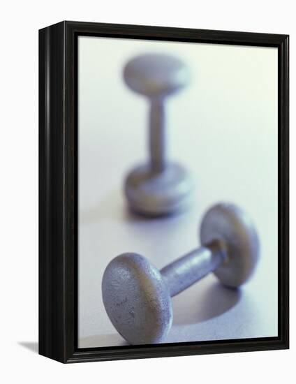 Weights-Chris Trotman-Framed Premier Image Canvas