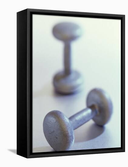 Weights-Chris Trotman-Framed Premier Image Canvas