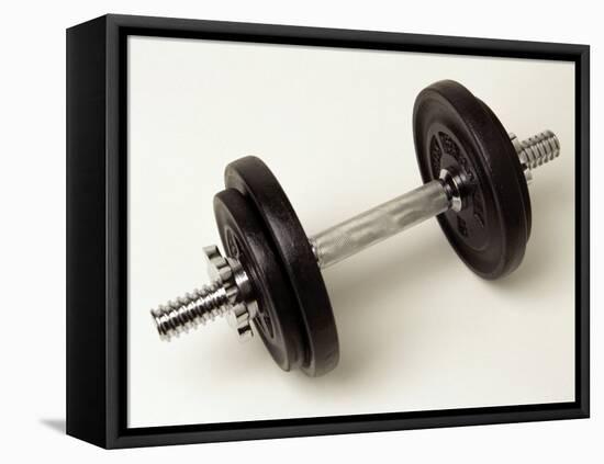 Weights-Chris Trotman-Framed Premier Image Canvas