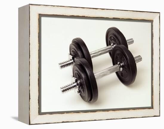 Weights-Chris Trotman-Framed Premier Image Canvas