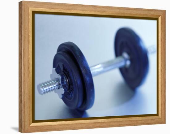 Weights-Chris Trotman-Framed Premier Image Canvas