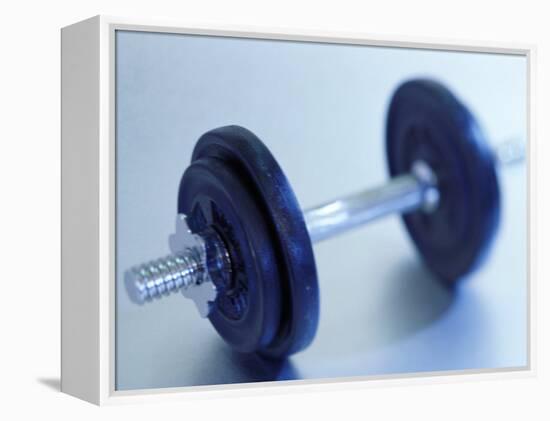 Weights-Chris Trotman-Framed Premier Image Canvas