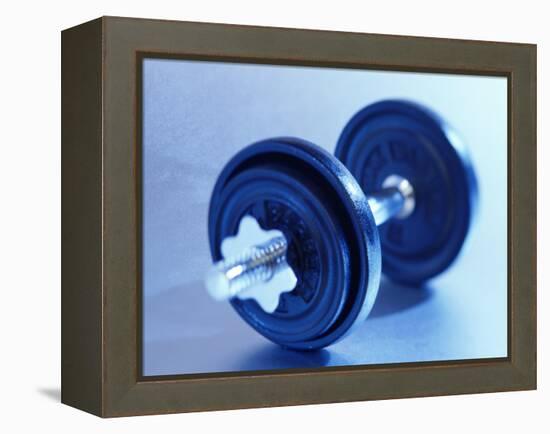 Weights-Chris Trotman-Framed Premier Image Canvas