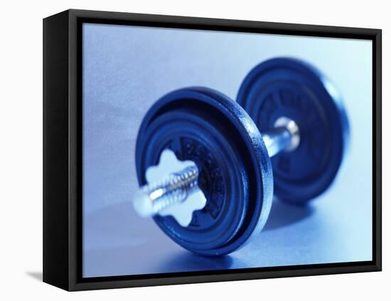 Weights-Chris Trotman-Framed Premier Image Canvas