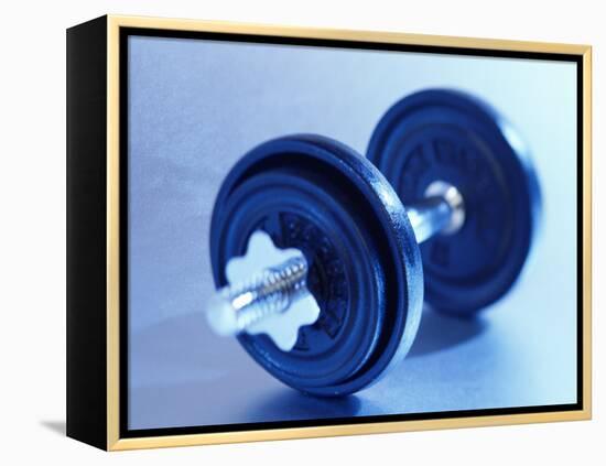 Weights-Chris Trotman-Framed Premier Image Canvas