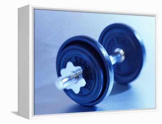 Weights-Chris Trotman-Framed Premier Image Canvas