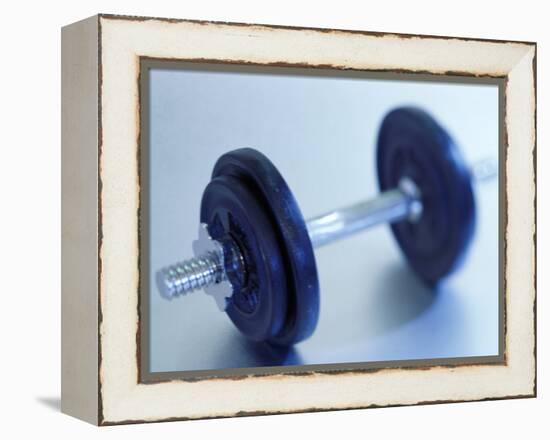 Weights-Chris Trotman-Framed Premier Image Canvas