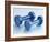 Weights-Chris Trotman-Framed Photographic Print