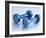 Weights-Chris Trotman-Framed Photographic Print