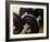 Weights-Chris Trotman-Framed Photographic Print