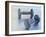 Weights-Chris Trotman-Framed Photographic Print